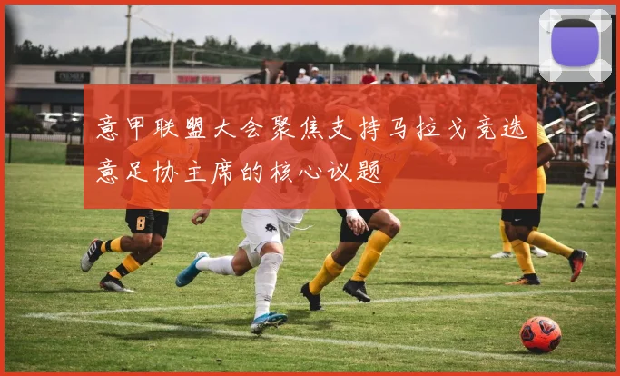 意甲联盟大会聚焦支持马拉戈竞选意足协主席的核心议题